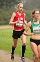 2011 BayXC-113